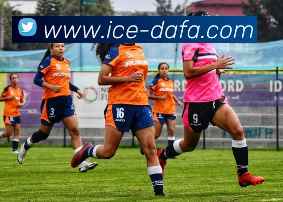 大发彩票平台生态图