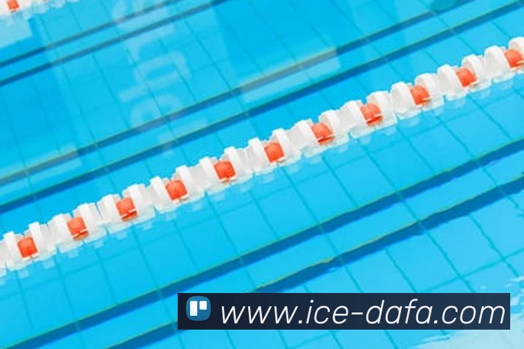 大发彩票APP 封面图